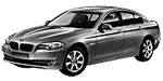 BMW F10 DF013 Fault Code